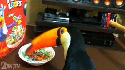 cereales,canibalismo