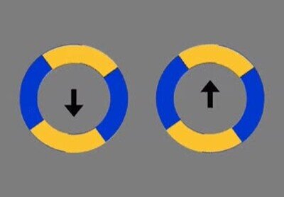 ilusion optica,girar,flechas