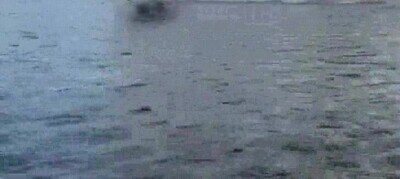 Enlace a Un alce corriendo por encima del agua