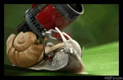 Enlace a Algún día los caracoles viajarán en el tiempo de esta forma