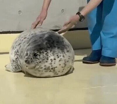 Enlace a Yo haciendo la croqueta en la cama el domingo por la mañana 