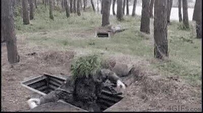 Enlace a El error más tonto que puedes cometer en una trinchera