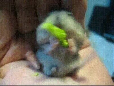 Enlace a Imaginar poder comer brócoli con tantas ganas 