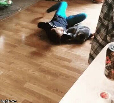 Enlace a El gato simplemente está alucinando con la humana