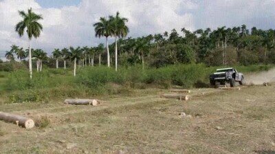 pasada,suspensi&oacute;n,coche