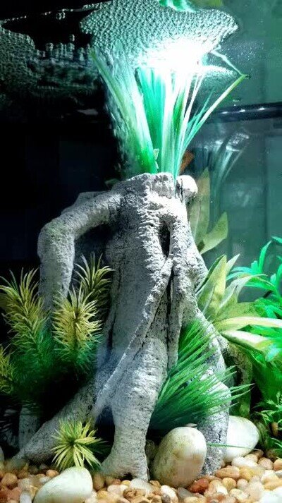 Enlace a Me relaja ver cómo salen todas esas burbujas