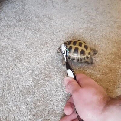 Enlace a Ráscame justo en ese punto