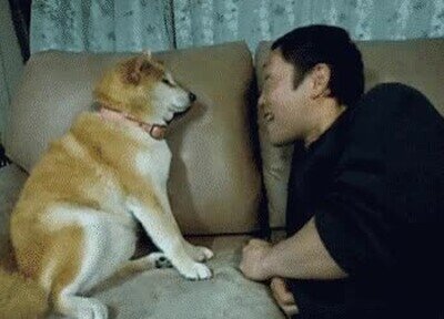 Enlace a Yo intentando ligar en una cita de Tinder