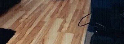 aburrirse,casa,coche,roomba