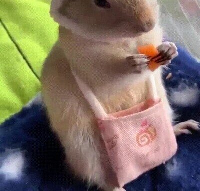 adorable,comida,kawaii