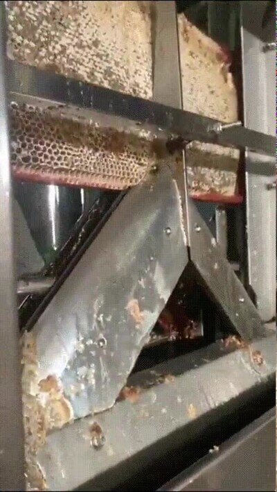 Enlace a Así se extrae miel de forma mecanizada