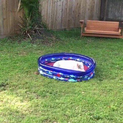 Enlace a Se acerca la temporada de la piscina en el jardín de casa