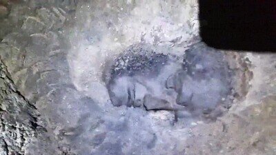 Enlace a Imagina explorar un túnel y encontrar de repente una cara 