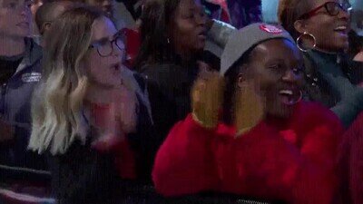 dos,tipos,perro,vida