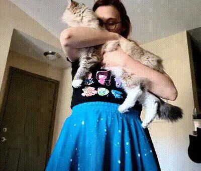 Enlace a Cuando estás perfectamente sincronizada con tu gato