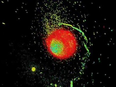 Enlace a Una simulación matemática de dos planetas colisionando 