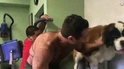 lavar,perro,nervioso