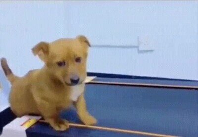 Enlace a Cuando vas obligado al gimnasio pero no tienes ganas de nada