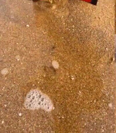 Enlace a ¿Lo habrías visto? Está perfectamente camuflado