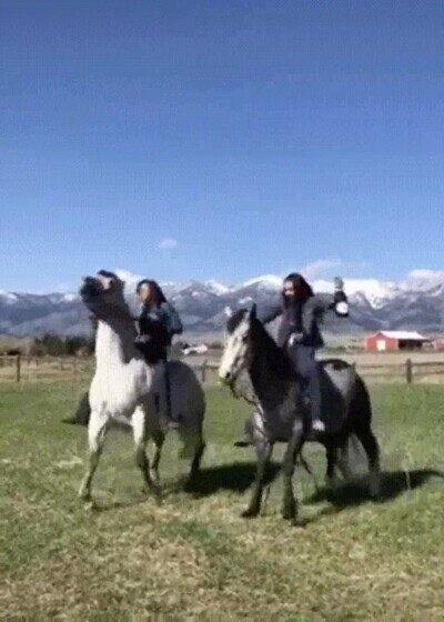 Enlace a Fue una mala idea subir al caballo en esas condiciones