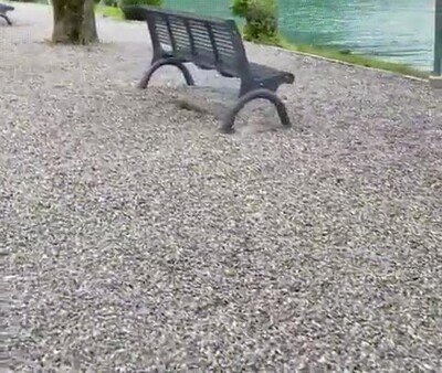 Enlace a En Suiza tienen algunos de los mejores paisajes del mundo