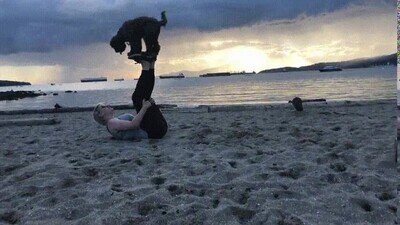trucos,perro,playa,divertido