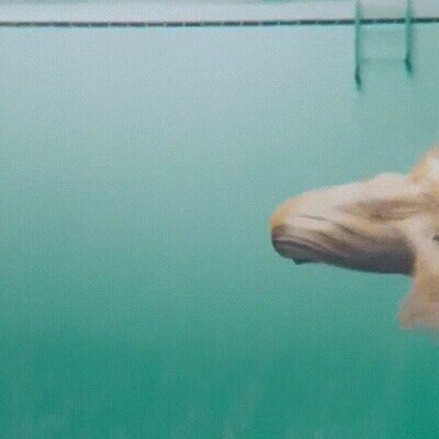 Enlace a Cuando se gira no es como te esperas