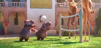 intentar,jugar,amigos,mayores