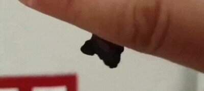 murcielago,meido,rey de la noche