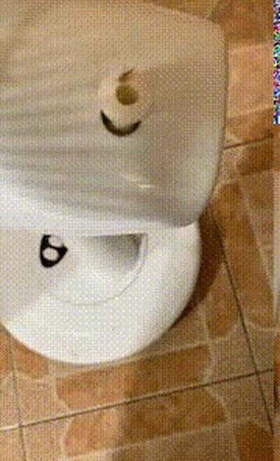 Enlace a El carrusel de los insectos