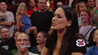 reacción,perro,gato