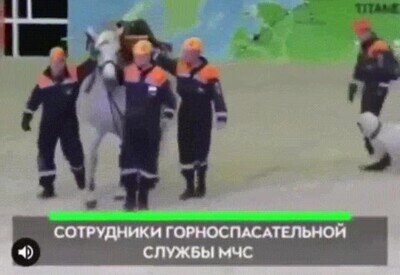 Enlace a Lo que pasa cuando utilizas un caballo como ambulancia