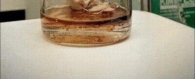 Enlace a Un líquido que lo destruye absolutamente todo