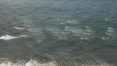 Enlace a Si saludas a las olas del mar puede que te respondan