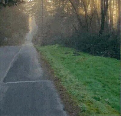 paisaje,bello,carretera