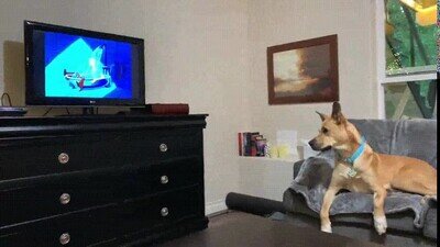Enlace a ¿Estoy saliendo en la tele?