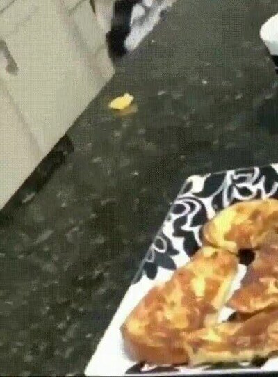 comida,vigilar,perro,casa