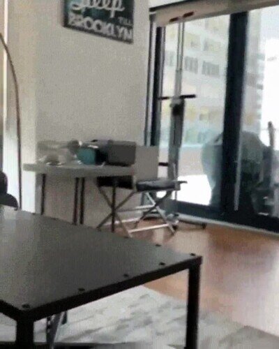 perro,enamorado,julia roberts