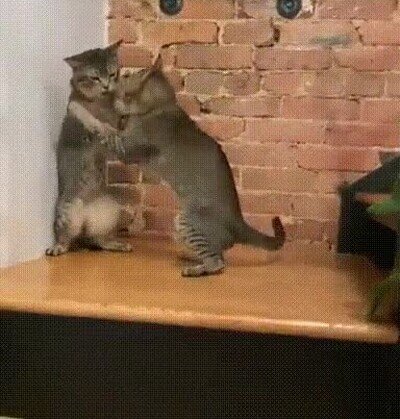 Enlace a Parece que esté delante de un espejo