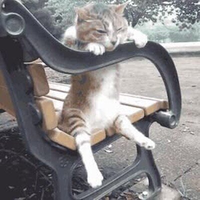 Enlace a Me representa a primera hora de la mañana