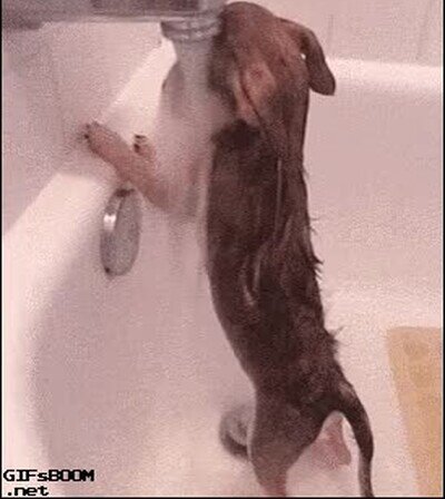 Enlace a Ellos también se ponen debajo de la ducha a pensar