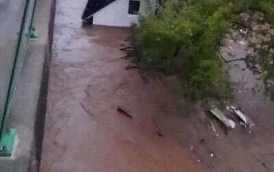 Enlace a Las inundaciones en Alemania han sido terribles