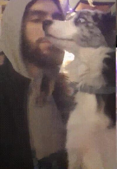 adorable,se&ntilde;or,perro