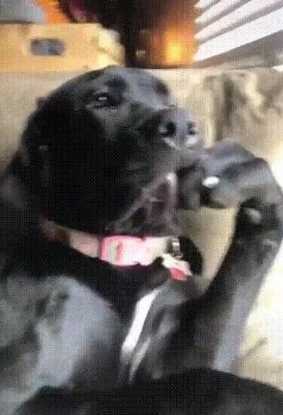 Enlace a A ver cuéntame más de eso de que el covid no existe