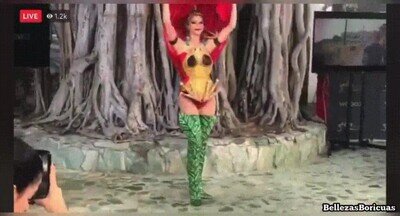 Enlace a Ni un pavo real