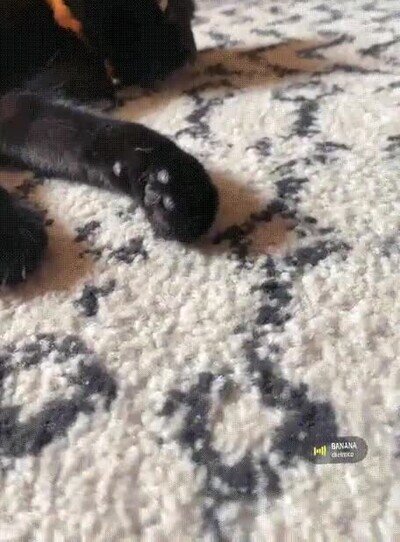 Enlace a Solo necesita el peluche de una banana para ser feliz