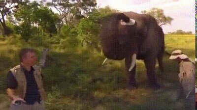 Enlace a Déjame la gorra a ver cómo me queda