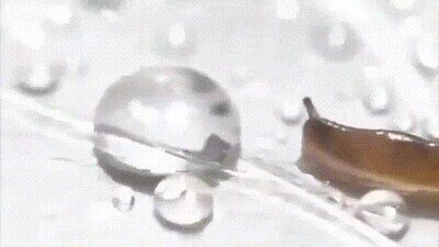 Enlace a Si estás teniendo un mal día, piensa en el de este tío