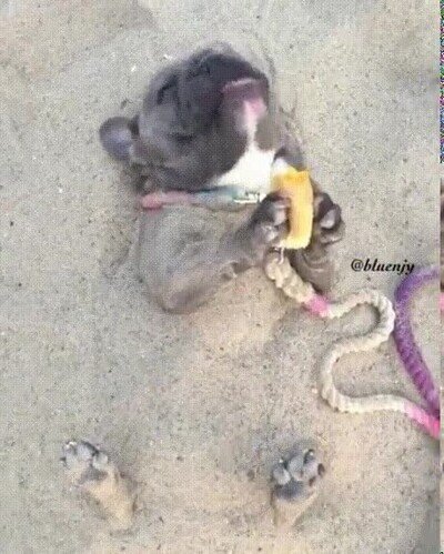 Enlace a Mi primer día de vacaciones, a gozarlo