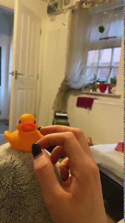 patito de goma,periquito,ave